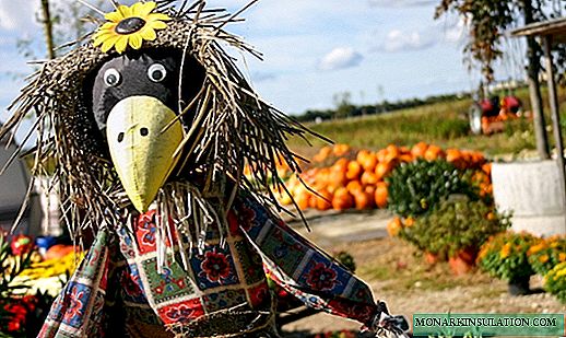 DIY scarecrow: 3 uloru + foto nke nhọrọ kacha mma