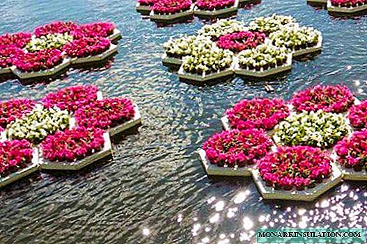 تختخواب های گل شناور: 4 راه برای ساخت جزایر کوچک گل در حوضچه شما