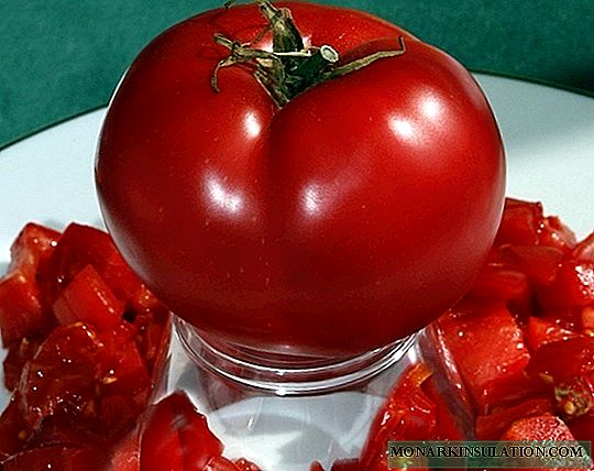 5 jinis tomat sing jarang ditemokake sing bisa uga narik kawigaten