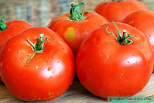 5 varioj de tomato kiu donos fruktojn la tutan someron