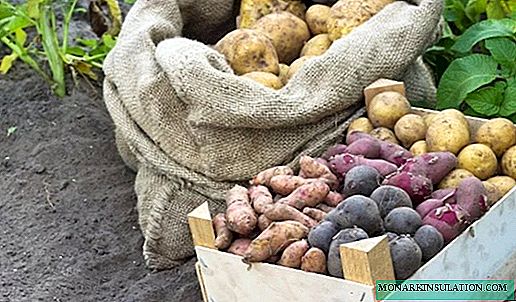 बटाटे साठवण्याचे 7 मुख्य नियम जे वसंत untilतु पर्यंत कंद राखण्यास मदत करतात