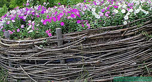ღობეები და ღობეები ყვავილების საწოლებისთვის: საუკეთესო 9 საუკეთესო დიზაინის ვარიანტები