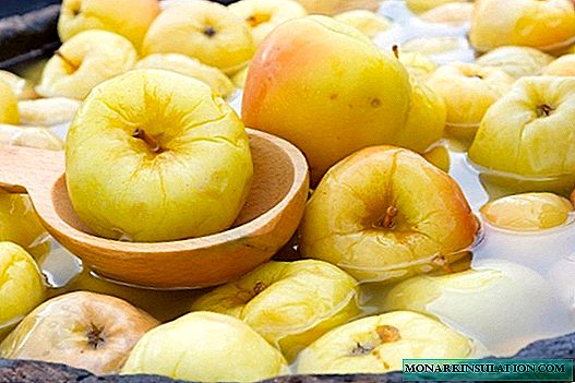 Natopljene jabuke svekrva: 9 ukusnih ideja
