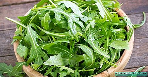 Ang 9 nga labing kaayo nga salad sa utanon aron itanum sa sunod nga panahon