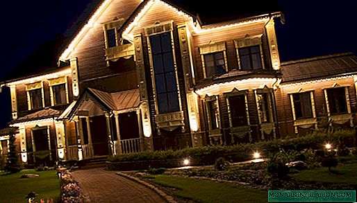 घराच्या समोरच्या आर्किटेक्चरल लाइटिंग: लाइट डेकोरच्या युक्त्या