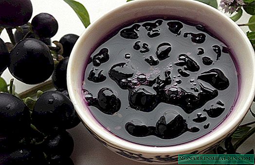Blueberry forte (Sunberry) - publizitate trikimailua edo beria sendatzeko