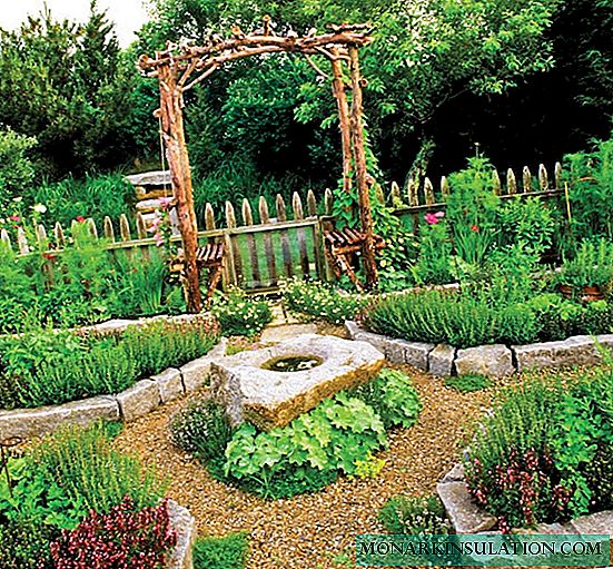 Dekorativni vrt: kako dodati originalnost krevetima s povrćem?