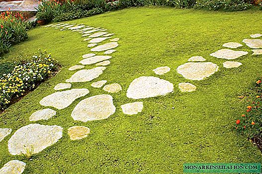 عکس از بهترین ایده های مسیر باغ های سنگی