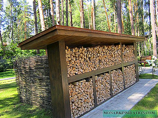 Cara gawe kayu bakar ing negara iki: kita yasa bangunan kanggo nyimpen kayu bakar