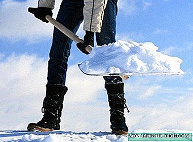 Kako napraviti dobru lopatu za snijeg: Vodič za proizvodnju