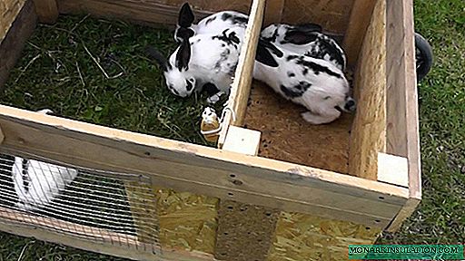 DIY خرگوش بنانے کا طریقہ: گھر سے بنے ڈیزائنوں کی مثالیں