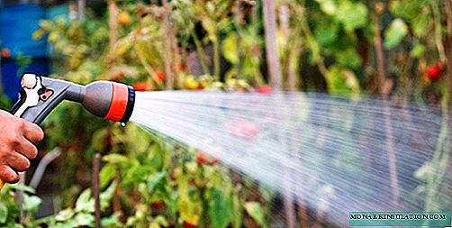 Kako odabrati pumpu za navodnjavanje vrta, ovisno o izvoru vode