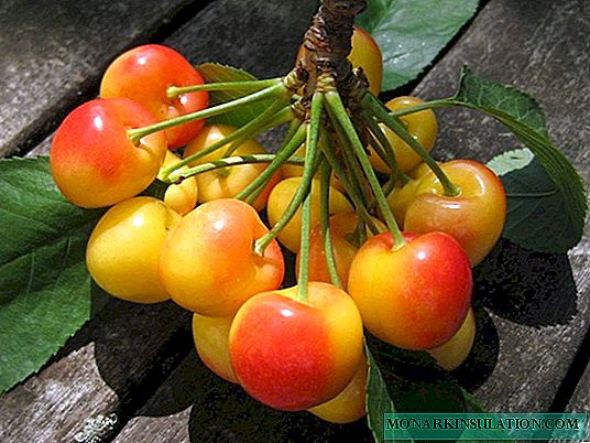 Ungakhula kanjani ama-cherries aphilile: phatha izifo, shayela izinambuzane