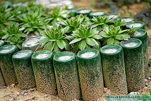 Направете сами цветни леи од шишиња: како можам да користам пластика во градината?