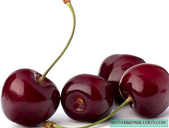 Mafi kyawun nau'in cherries don girma a cikin gari