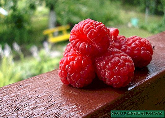 Raspberry Brilliant - lainlain nga yelo nga makapugong sa yelo nga adunay daghang mga berry