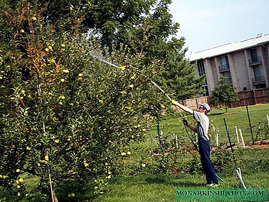 રોગો અને જીવાતો માટે સફરજનના ઝાડની સારવાર