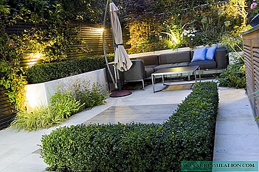 Vrt opremamo u stilu minimalizma: za one koji vole lakonsku estetiku
