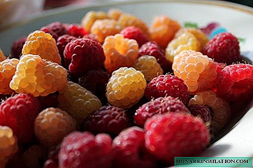 Aturan dhasar kanggo menehi panganan raspberry: kapan, kepiye, apa
