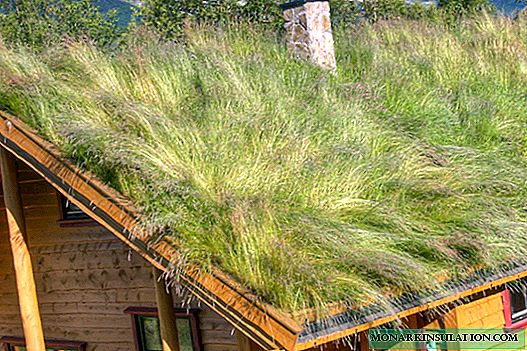 Tuinmaak die dak van die tuinhuis: die reëls van die "grasdak"