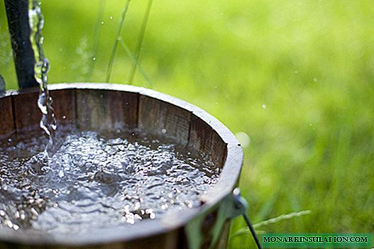 Normas para limpar e desinfectar a auga nun pozo: eliminar a turbidez e as bacterias