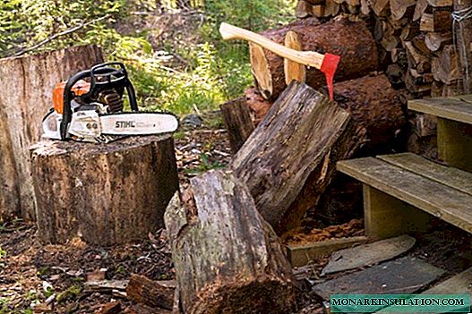 Өз колдору менен chainsaws ондоо: негизги учурлары жана чараларга талдоо