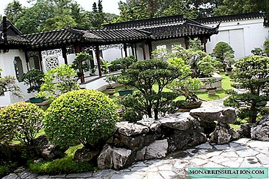Taman gaya Cina: téknik nyiptakeun harmoni tina agén Asia