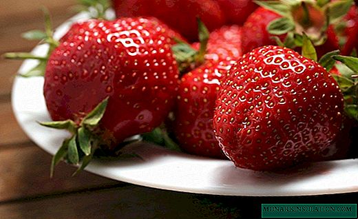 Lambun itace strawberry Ubangiji - nau'ikan nau'ikan itace na strawberry