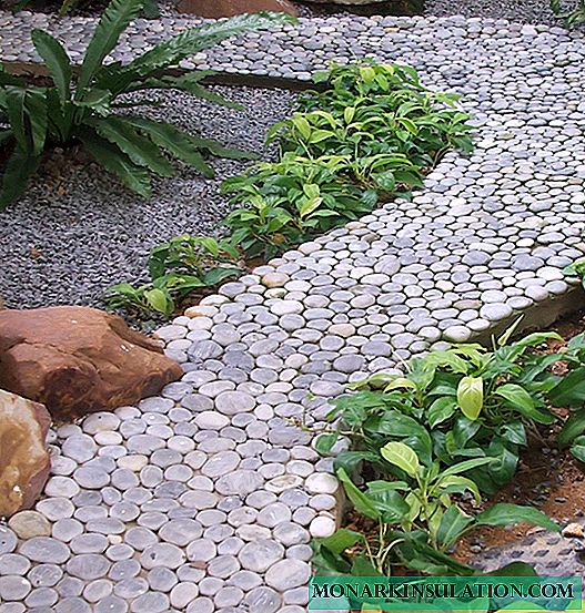 ডিআইওয়াই গার্ডেন পাথ: ডিজাইন আইডিয়াগুলির একটি নির্বাচন + ধাপে ধাপে মাস্টার ক্লাস