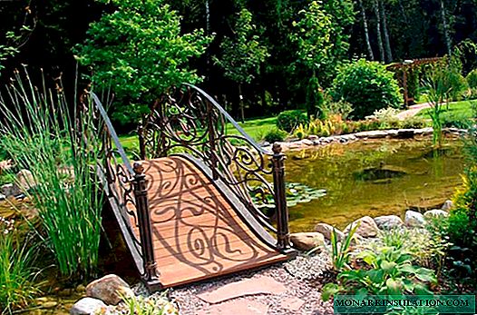 پل های باغ به عنوان عنصر طراحی سایت + کارگاه