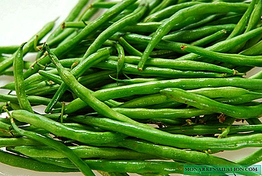 Pónairí asparagus: conas é féin a fhás