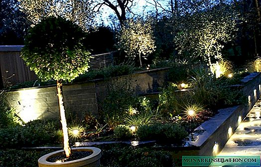 Uporedni pregled vrtnih svjetala: kako odabrati pravu rasvjetu za vrt