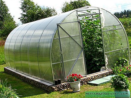 Polycarbonate greenhouse: mga kapilian sa laraw ug pagtukod sa DIY
