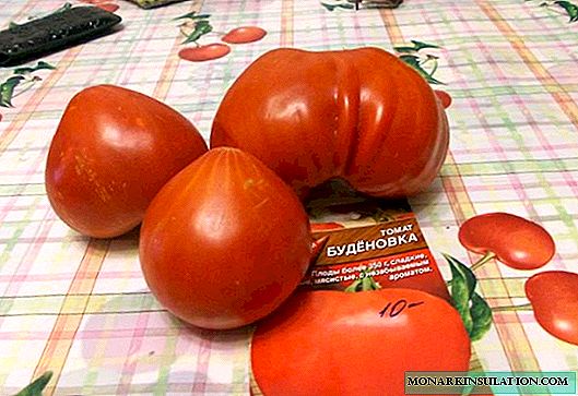 Tomato Budenovka - mawonekedwe a mitundu ndi mawonekedwe a kulima