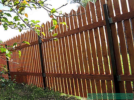 Taxta piket çit: ən populyar hasarın qurulması texnologiyası