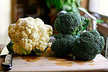 Wa awọn iyatọ 10: Broccoli ati Ori ododo irugbin bi ẹfọ