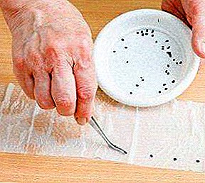 2 maniere om pepers op saailinge op toiletpapier te plant: 'n beskrywing van die metode, die voor- en nadele daarvan