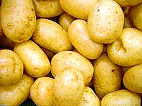 60-Deeg Kartoffel "Triumph": Beschreiwung vun der Varietéit fir d'Liebhaber vu fréiere Kartoffel