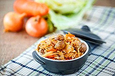 स्वादिष्ट क्यूबेज गाजर संग रोल र पकाया गोभी संग खाना पकाने को लागि 7 र अधिक व्यंजनहरु