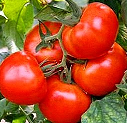 Karakteristikat, kultivimi dhe kujdesi, përshkrimi i një sërë domate hibride "Bashkimi 8"