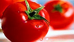 Yon varyete senp nan tomat "Alpatieva 905 yon": yon karakteristik ak deskripsyon nan yon tomat, yon foto nan fwi matirite, karakteristik nan kiltivasyon.