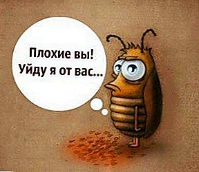 Veg kakkerlakke in die woonstel: elektroniese en ultrasoniese elektroniese kakkerlak skêre