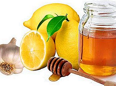 Ang nakapagpapagaling elixir ng honey, limon, bawang at mansanas cider cuka. Mga recipe ng pagluluto at mga tip ng application