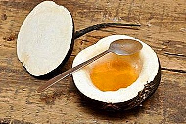 Mjetet shëruese të rrepkë dhe mjaltë. Si të përdoret për kollë, për ftohjet dhe sëmundje të tjera?