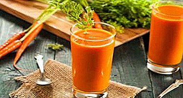 Apa jus wortel sing migunani lan ana bebaya saka panggunaane? Carane cook dhewe karo celery lan apel?