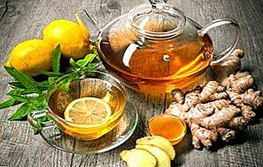 Ano ang malusog para sa isang halo ng luya at honey? Slimming recipes na may limon at iba pang mga sangkap