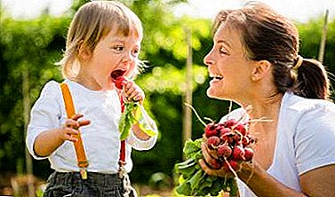 تربچه مفید است و در چه سنی سبزیجات بهار به کودک داده می شود؟ چگونه وارد رژیم غذایی شوید؟