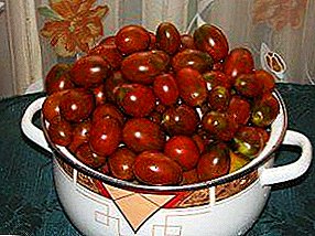 "Де Барао Черни" - егзотичен домат во вашата градина кревети