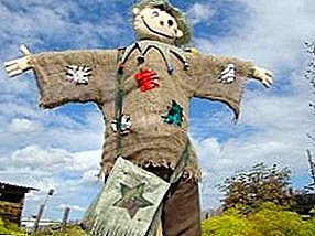 Kupanga garden effigy ndi manja anu