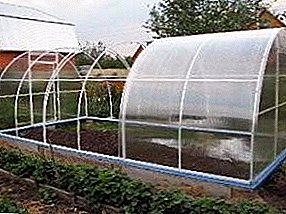 Sizenzele i-greenhouse ye-PVC ne-polypropylene amapayipi